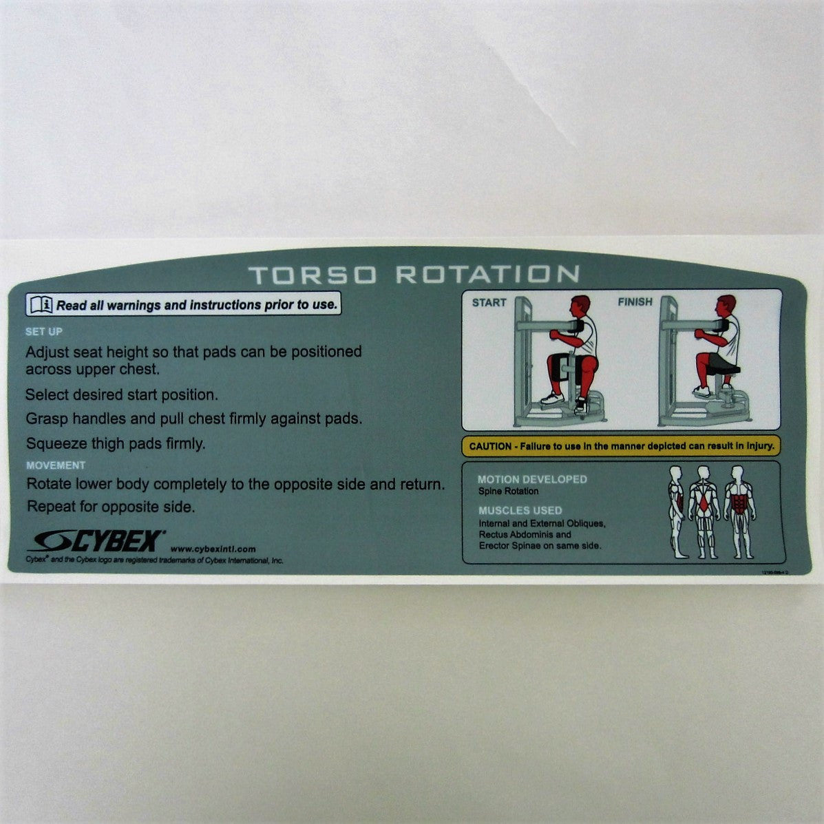 Cybex torso rotation online machine