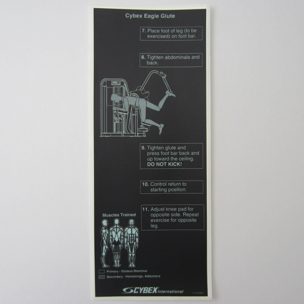 Cybex Eagle Glute FitnessGraphics