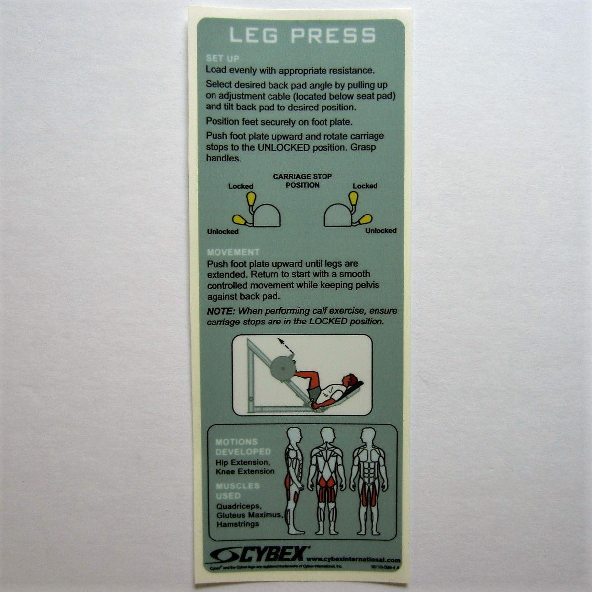 Eagle leg online press