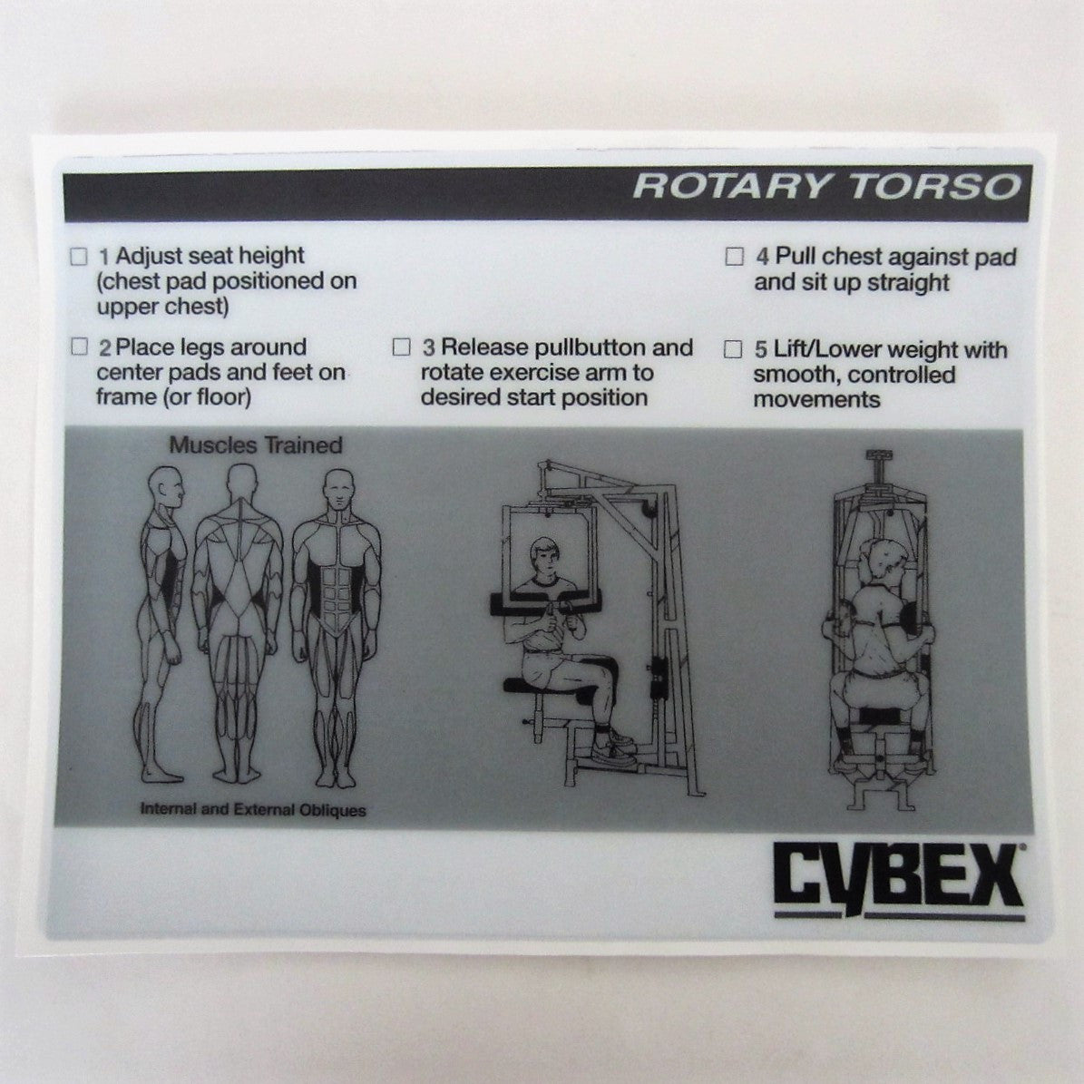 Cybex best sale rotary torso